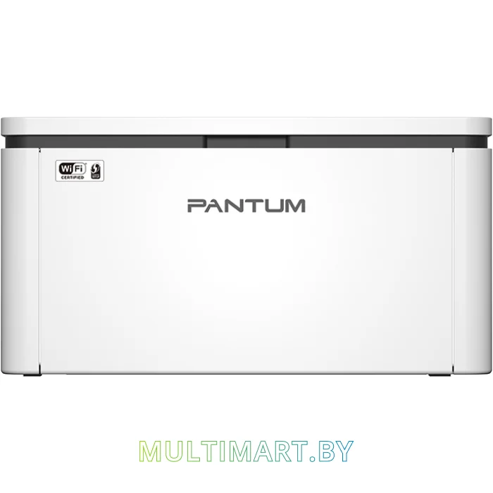 Принтер Pantum BP2300W